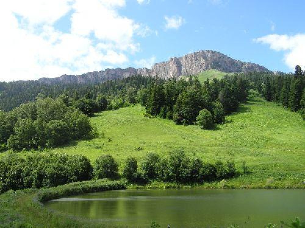 Прикубанская равнина фото