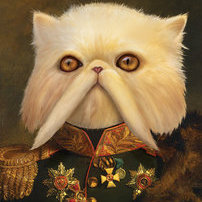 Emperor-cat